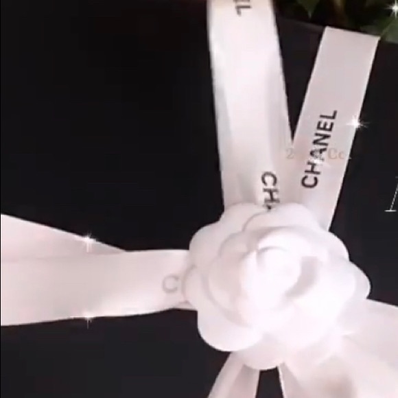 GONE 💨🚨Gorgeous soft goatskin Chanel 19 bag 🔥🎁 - Picture 8 of 10